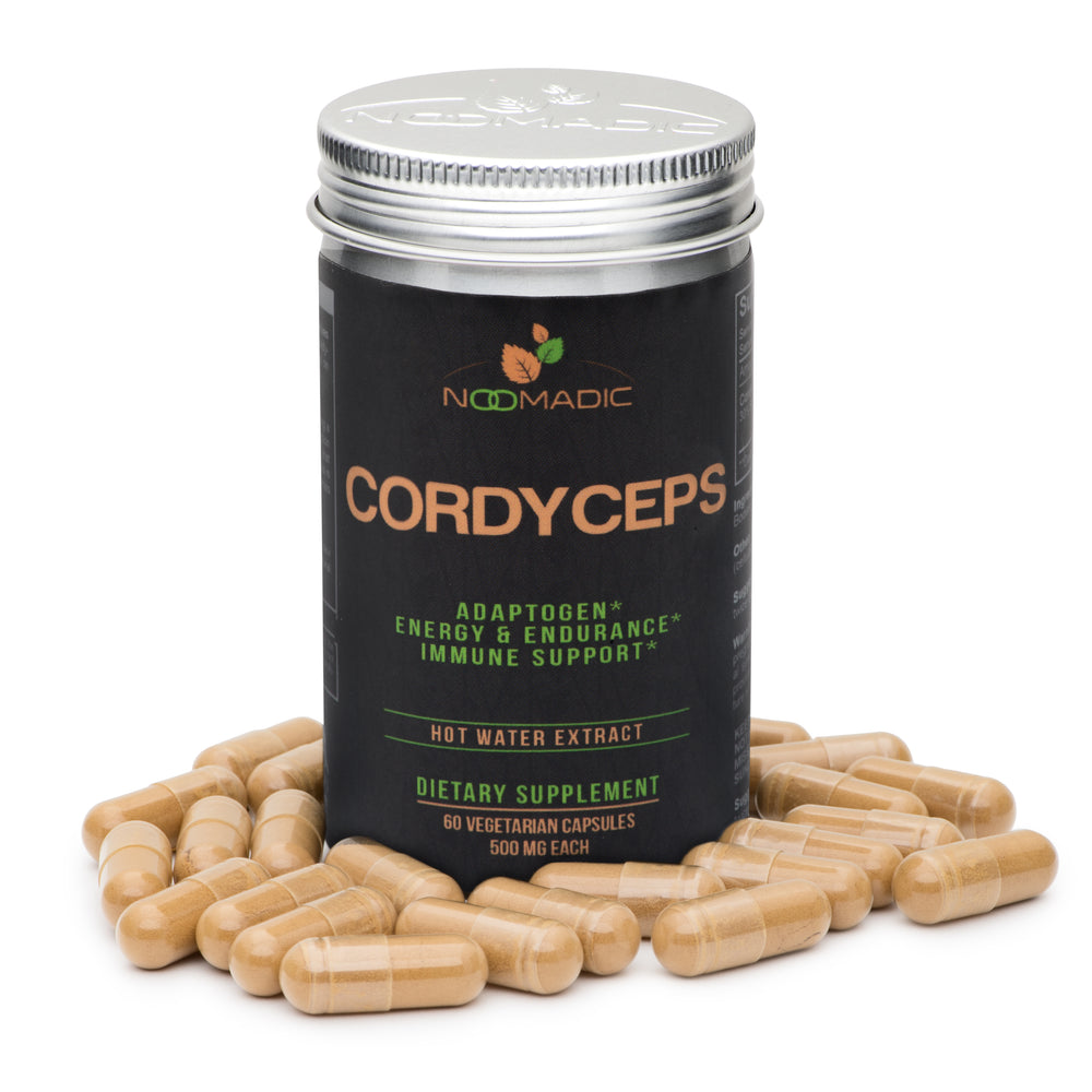 Cordyceps